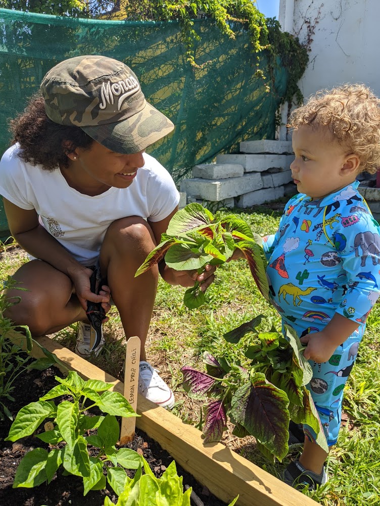 Vegetable Gardening: A Beginner's Guide